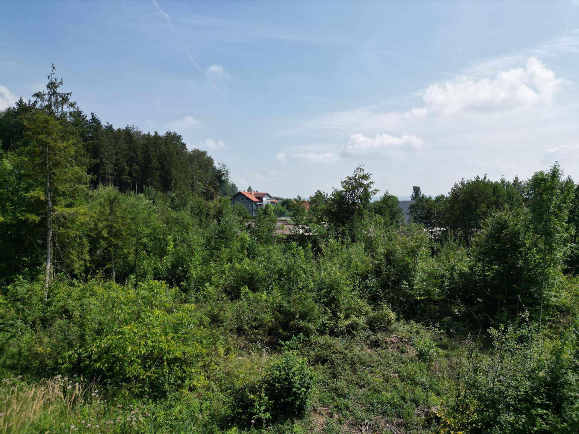 Dichte Waldlandschaft und bewachsenes Gelände mit vereinzelten Häusern in der Ferne.