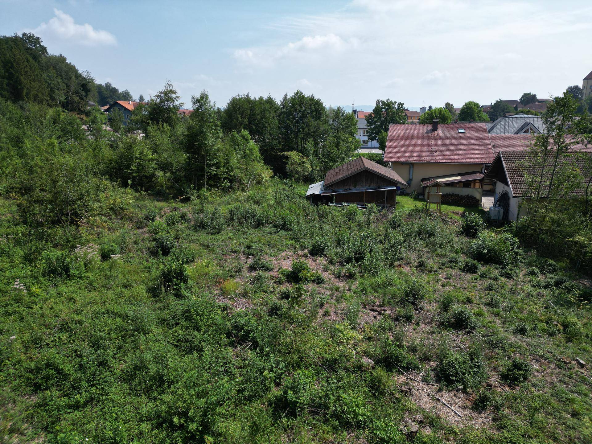 Weitläufiges Grundstück mit dichter Vegetation und Blick auf angrenzende Häuser und die ländliche Umgebung.