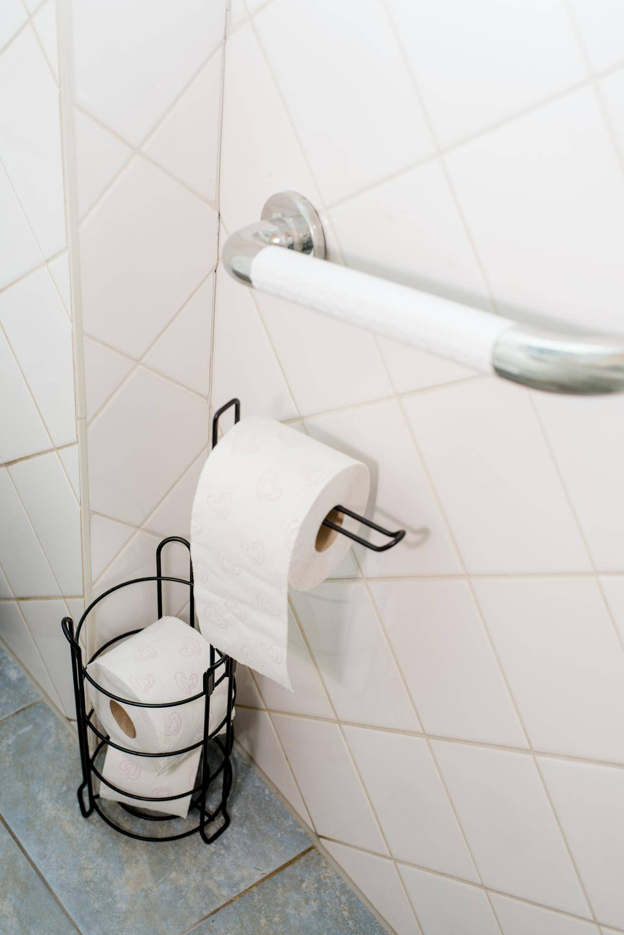 WC-Bereich mit Haltegriff an der Wand und praktischem Toilettenpapierhalter.