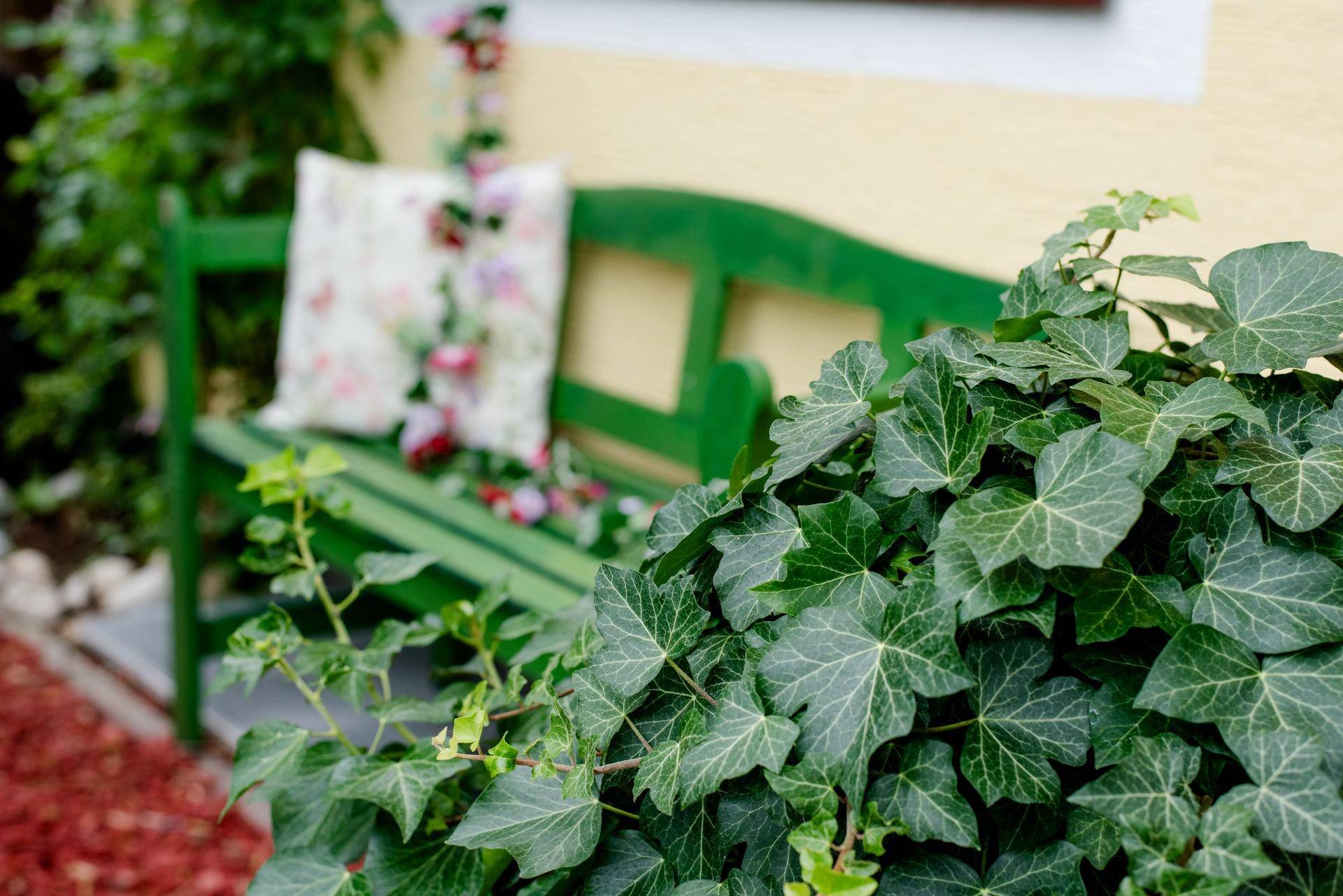 Grüne Holzbank mit Zierkissen, umgeben von Efeu und einem roten Kiesweg im Gartenbereich.