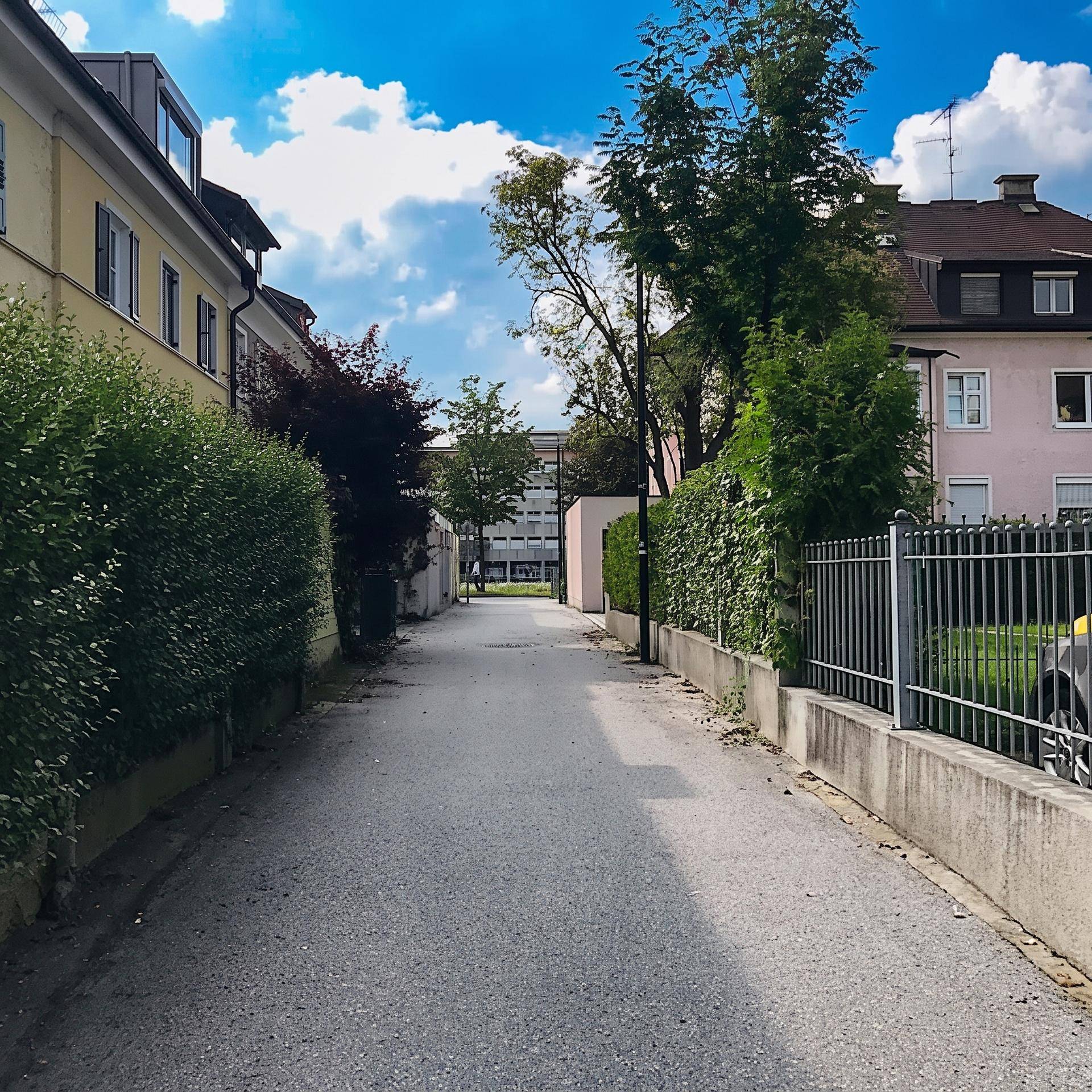 Zugang Salzach.jpg