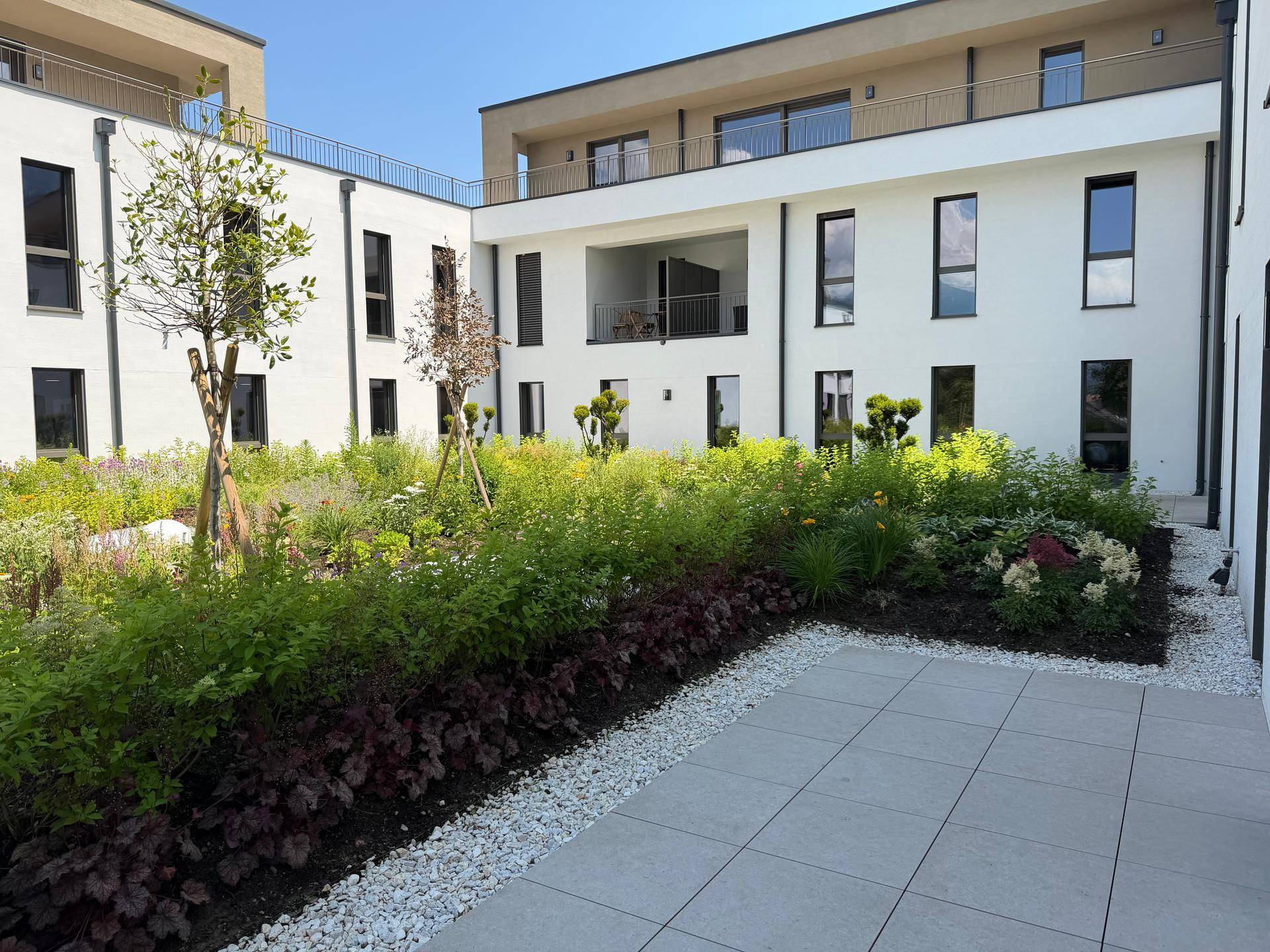 Gepflegter Innenhofgarten mit vielfältiger Bepflanzung, Kieswegen und modernen Gebäuden.