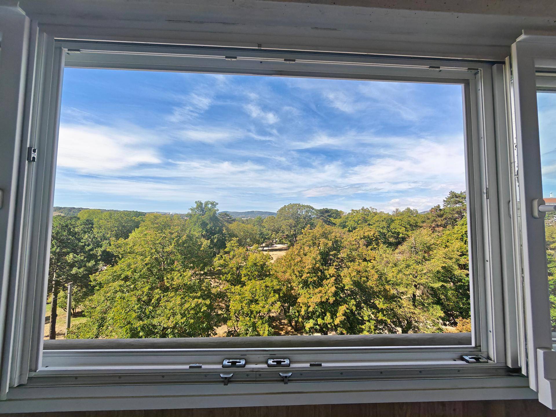 Weitläufiger Blick aus dem Fenster auf eine grüne Baumlandschaft unter blauem Himmel.