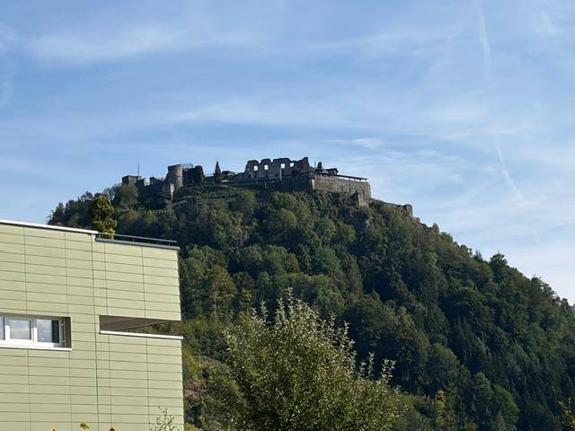 Blick auf Burgruine Landskron.jpeg