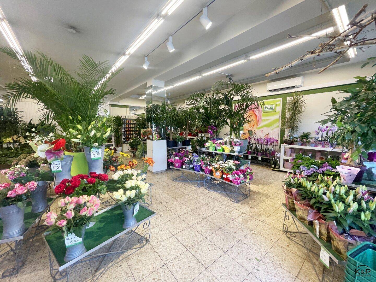 Heller Innenraum eines Blumengeschäfts mit vielfältigen Pflanzen, Blumenarrangements und Fliesenboden.
