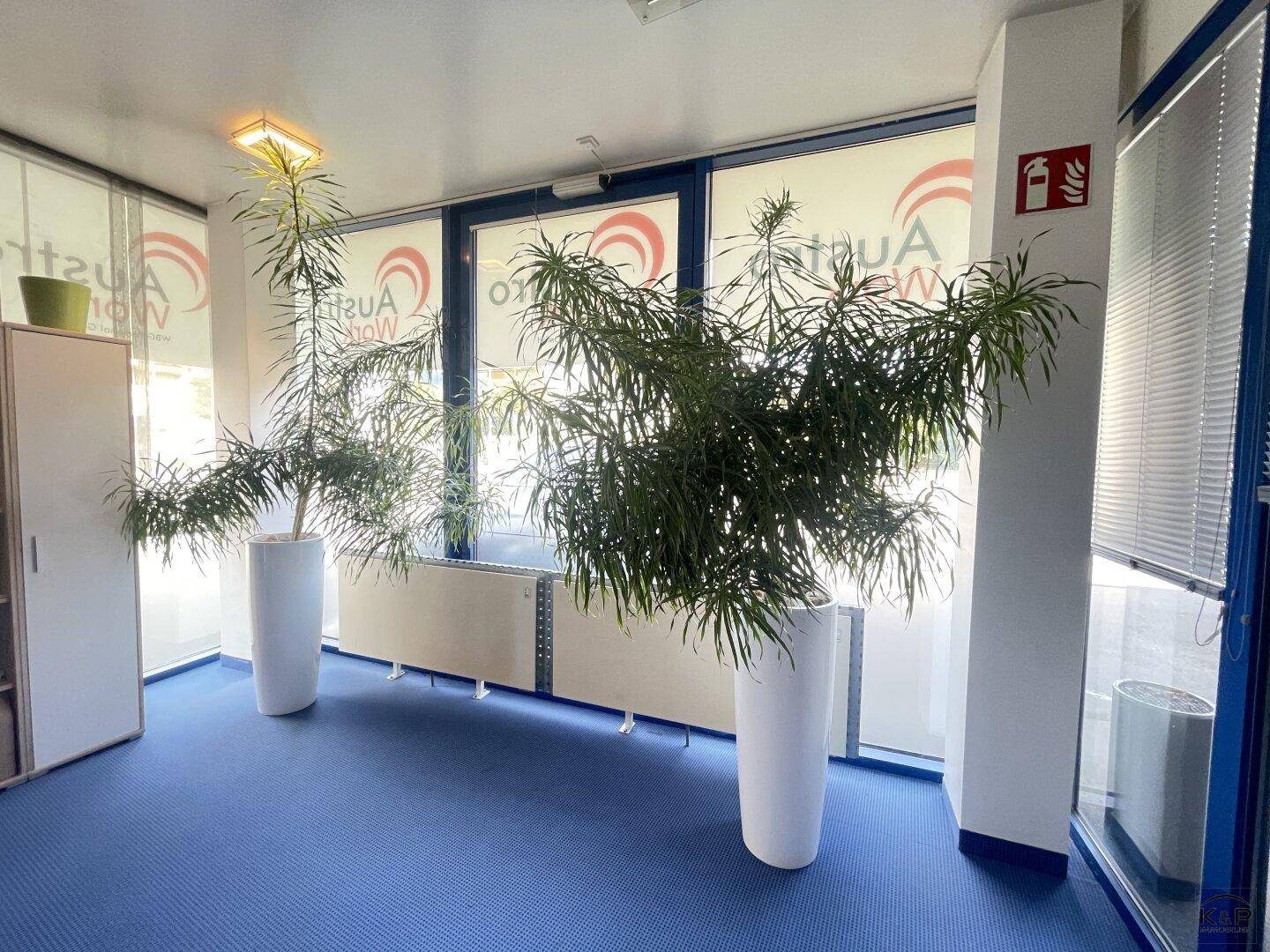 Heller Bürobereich mit großen Fenstern, blauer Teppichboden und dekorativen Pflanzen.