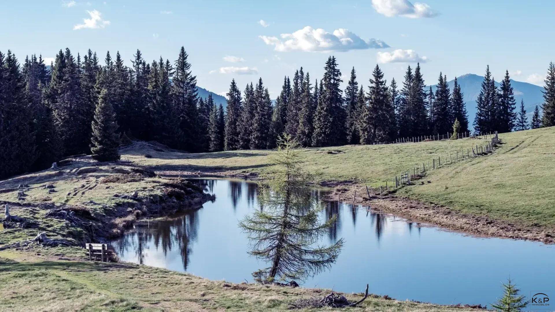 Idyllische Berglandschaft mit einem kleinen Teich, umgeben von grünen Wiesen und Nadelwäldern unter blauem Himmel.