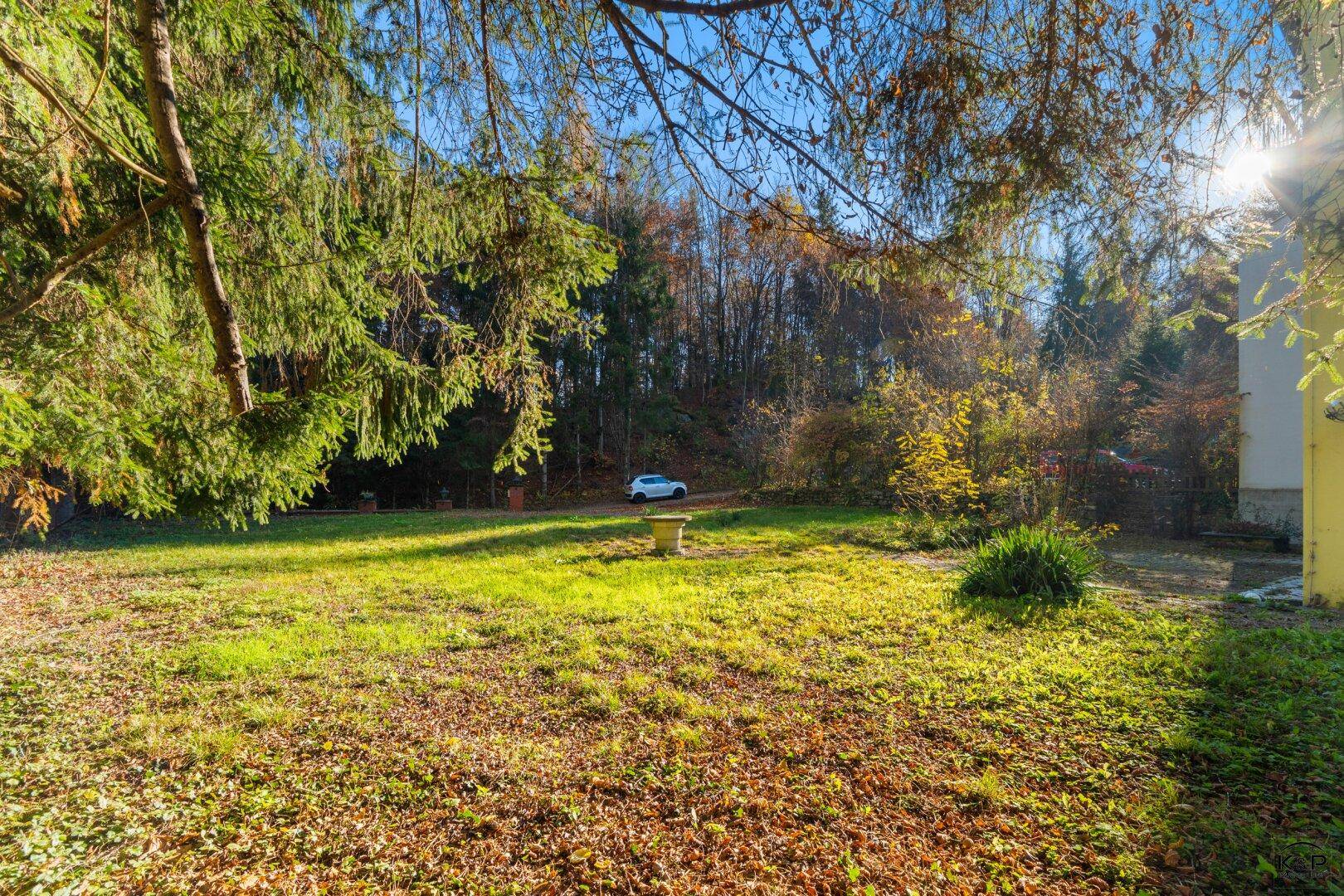 Weitläufiger, sonniger Garten mit Rasenfläche und umgebenden Bäumen, ideal zum Entspannen.
