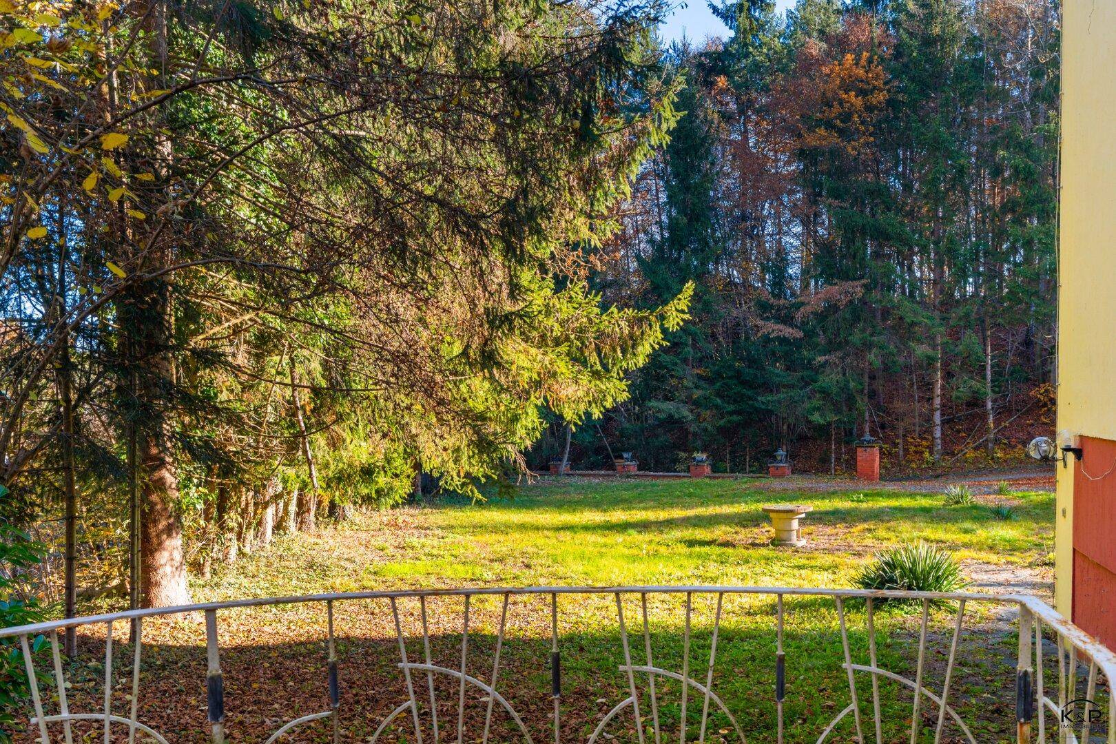 Blick vom Balkon auf den sonnigen Gartenbereich mit Rasen und hohen Bäumen.