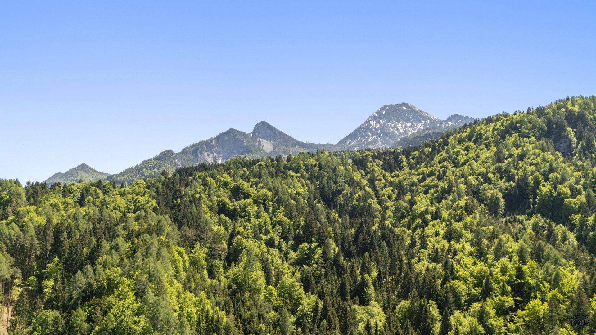 Panoramablick über eine weite grüne Landschaft mit dichten Wäldern und majestätischen Bergen.