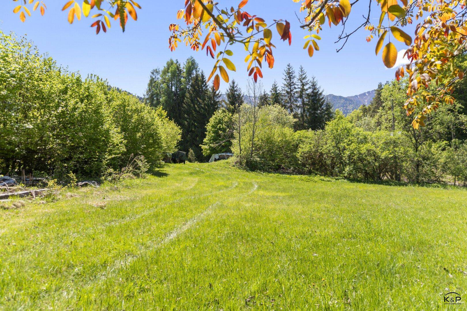 Natur trifft Freiheit – großzügiges Grundstück für Menschen mit Visionen - Ansicht 3