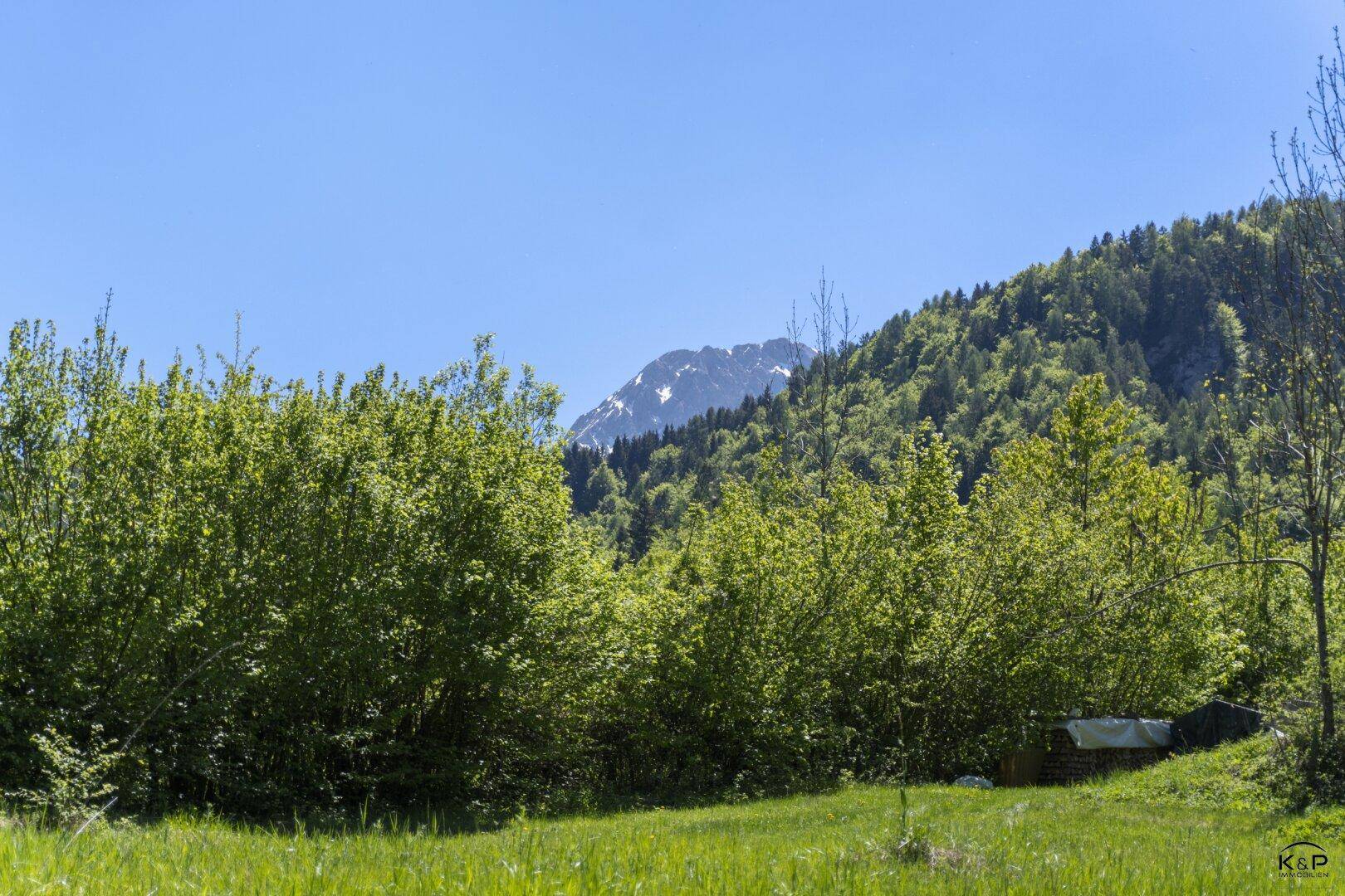 Grüne Wiese mit Büschen und einem beeindruckenden Blick auf einen schneebedeckten Berg.