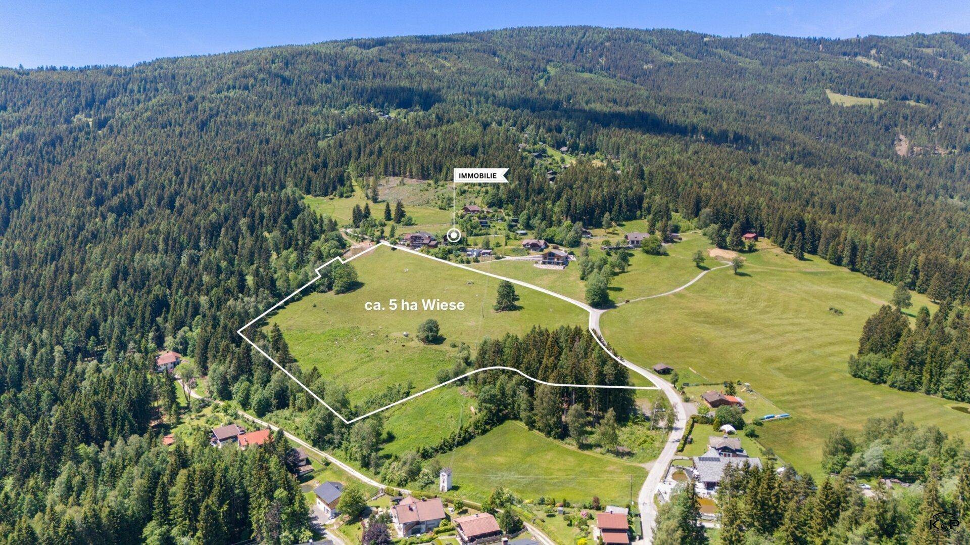 Weitläufige Luftaufnahme des Anwesens mit ca. 5 ha Wiese, umgeben von dichten Wäldern und Bergen.