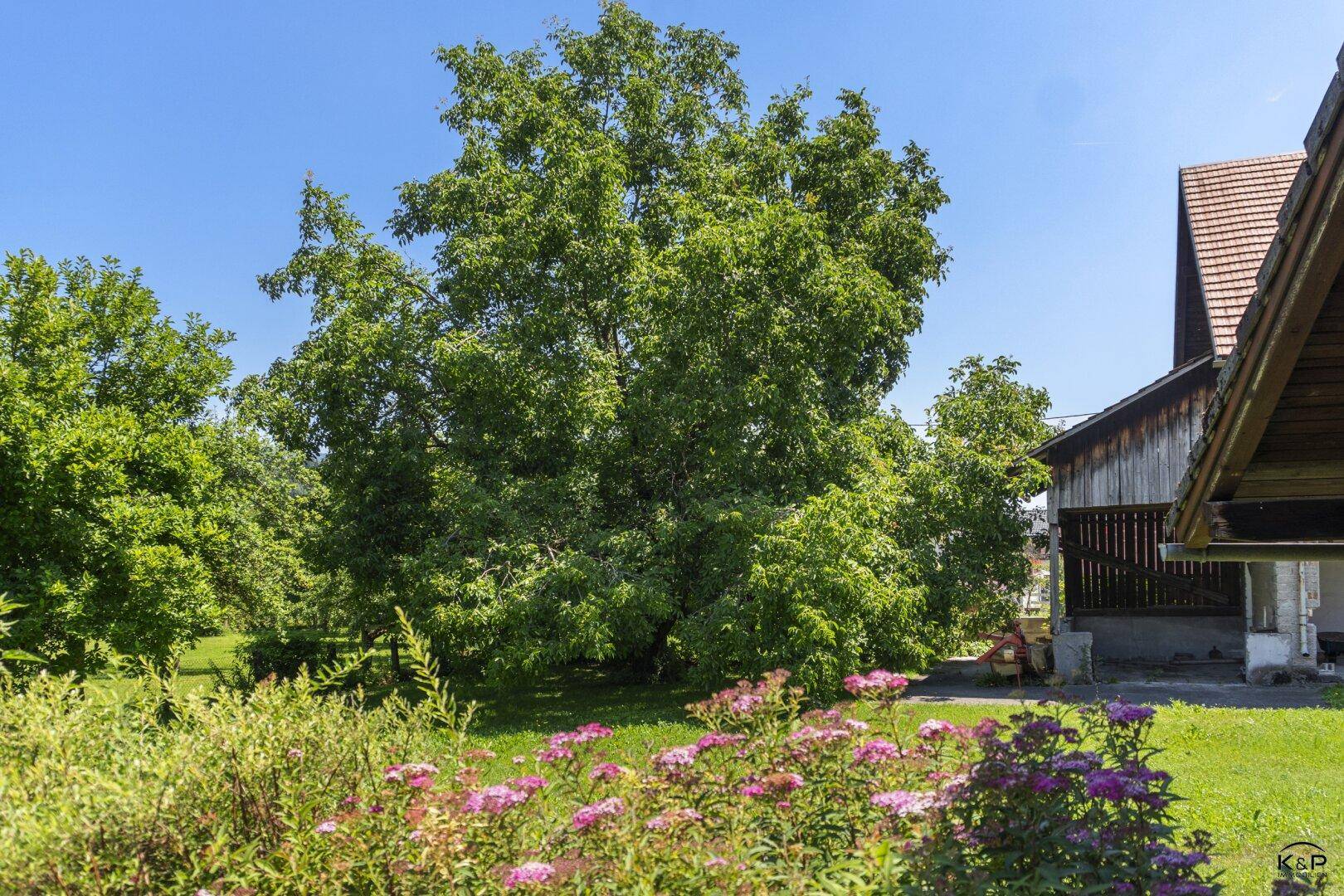 Blühender Gartenbereich mit bunten Blumen und einem großen Baum neben dem Gebäude.