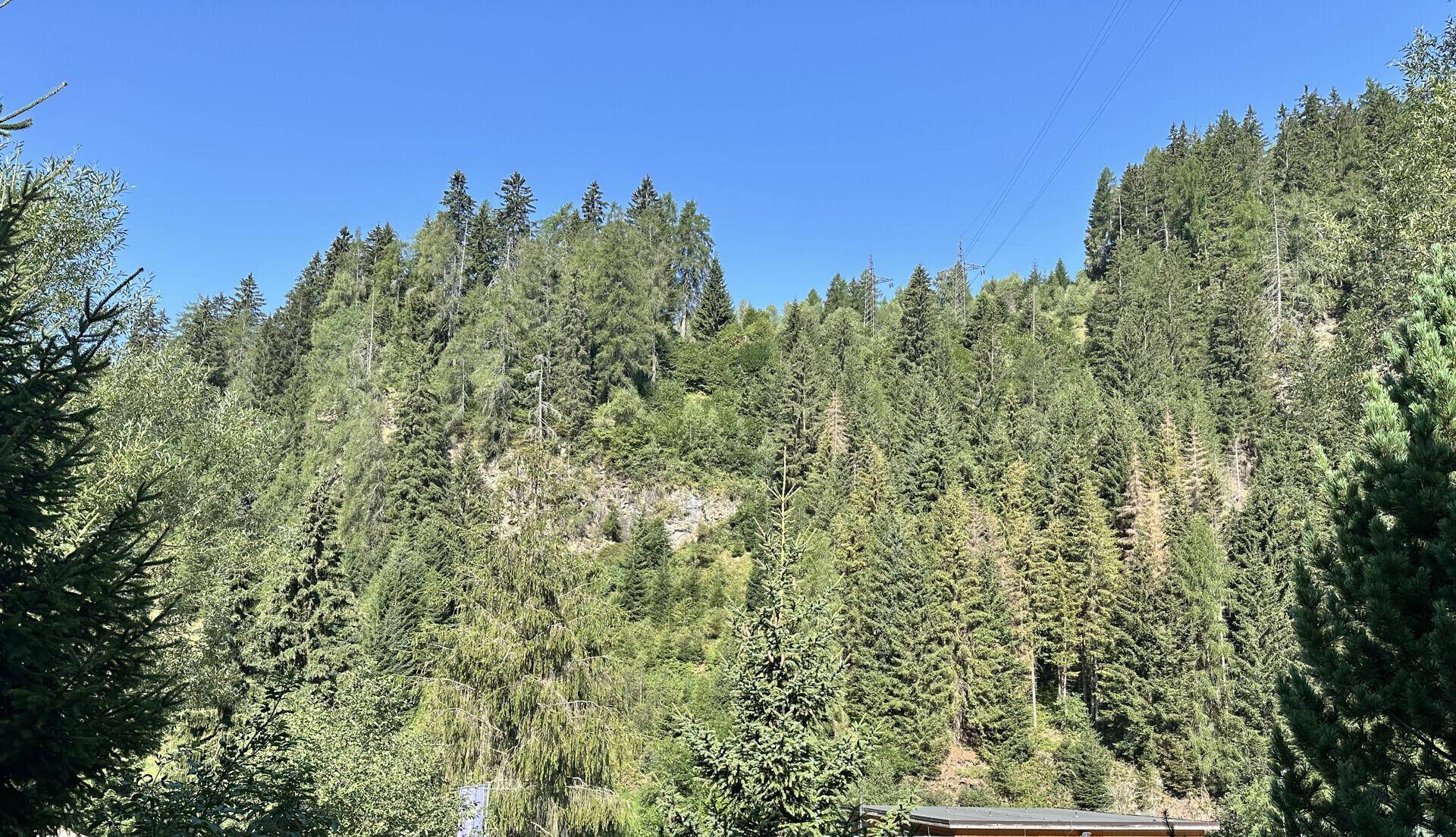 Malerischer Blick auf bewaldete Berge unter strahlend blauem Himmel.