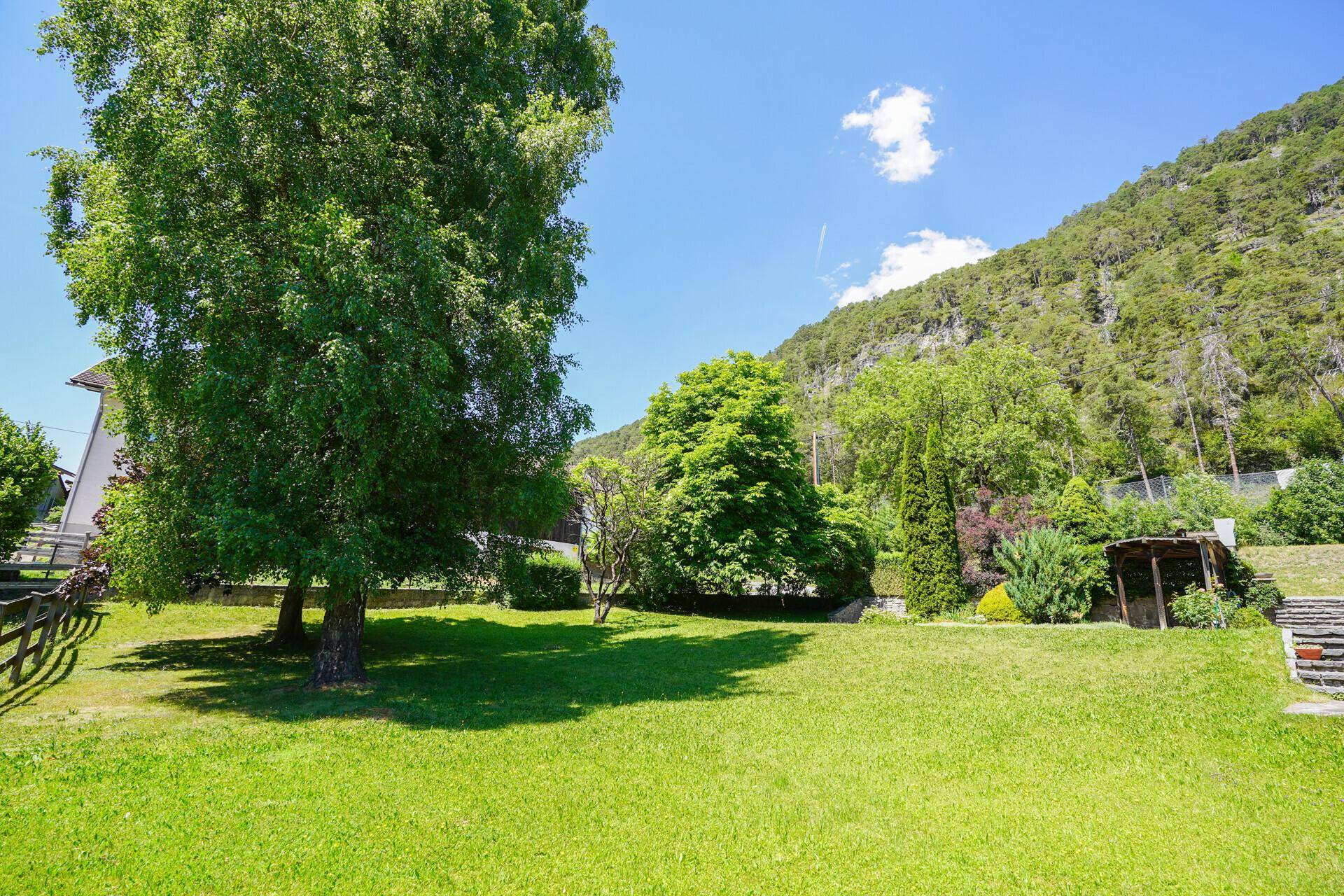 Weitläufiger, sonniger Garten mit großen Bäumen und Blick auf die bewaldeten Berghänge.