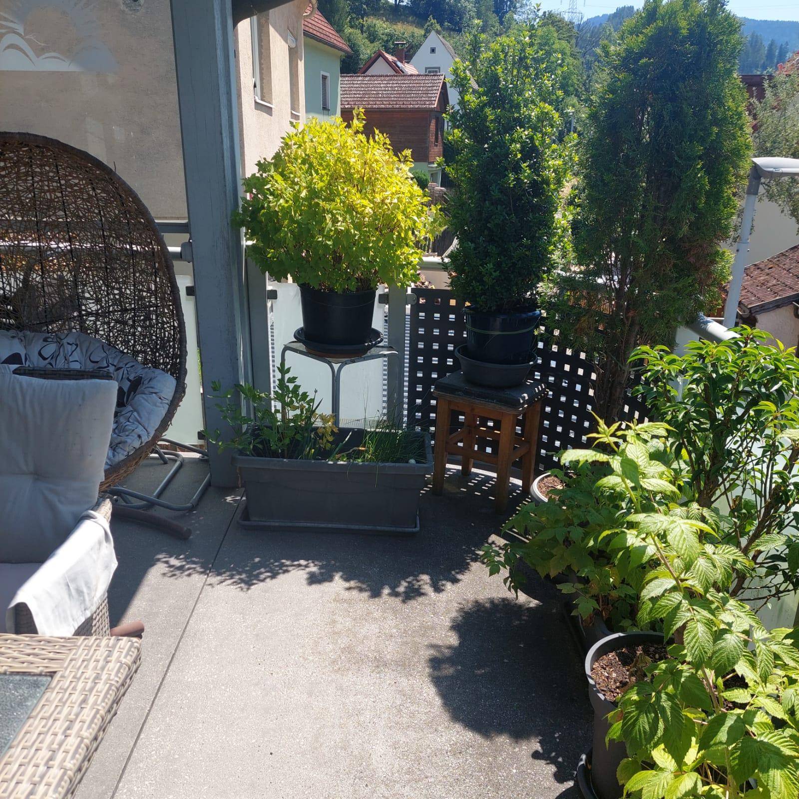 Geräumiger Balkon mit Pflanzen, Sitzgelegenheiten und Blick auf die umliegenden Häuser.