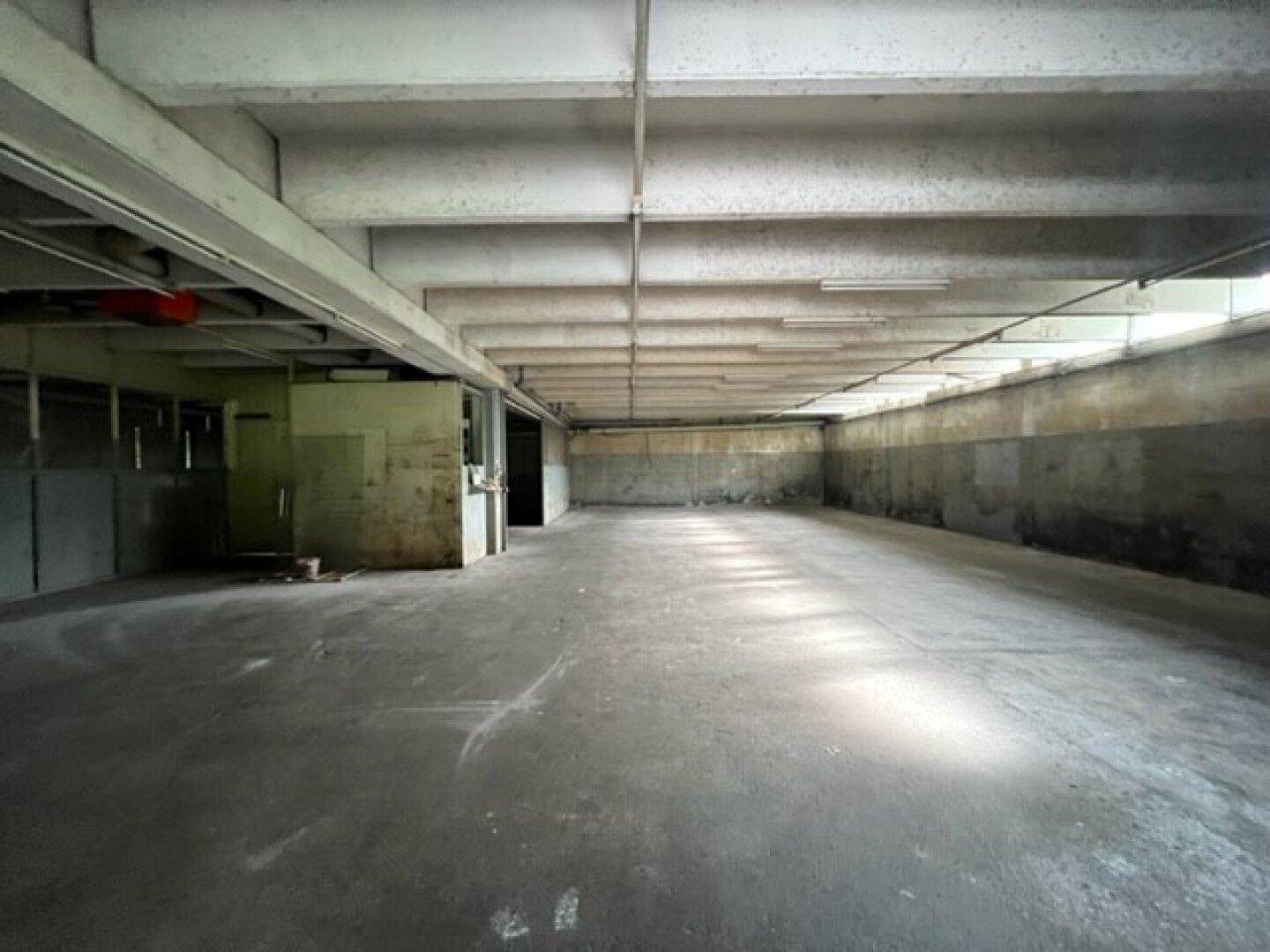 Großer, leerer Industrieraum mit Betonboden und sichtbaren Deckenbalken, gut beleuchtet durch Tageslicht.