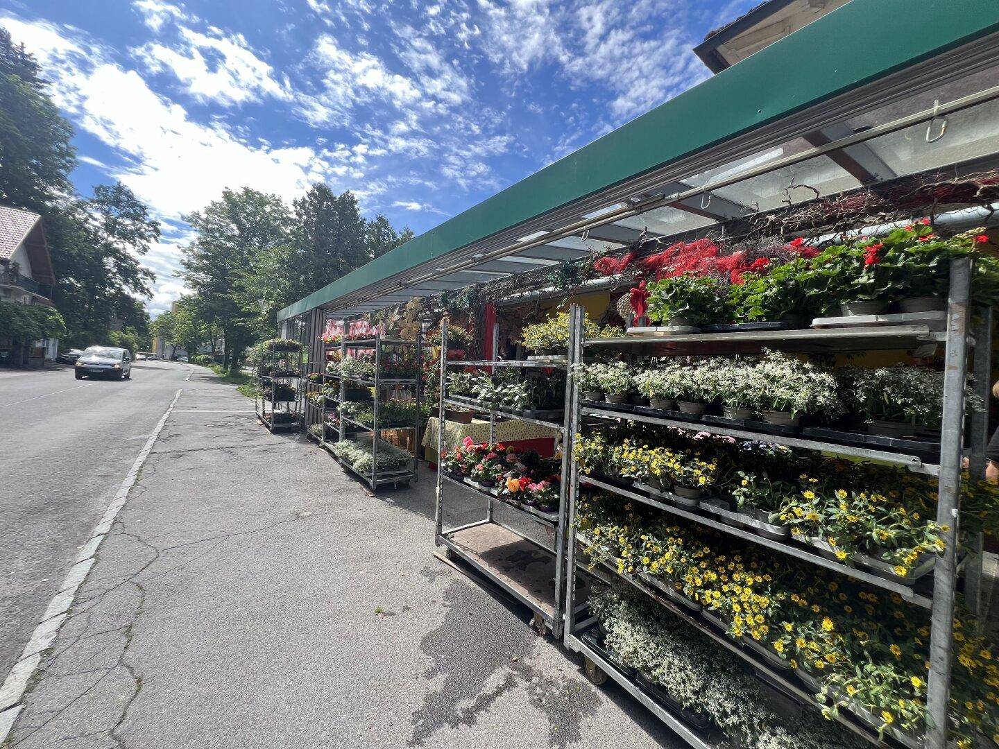 Blick entlang der Straße auf die Pflanzenregale eines Blumengeschäfts mit einem Auto im Hintergrund.