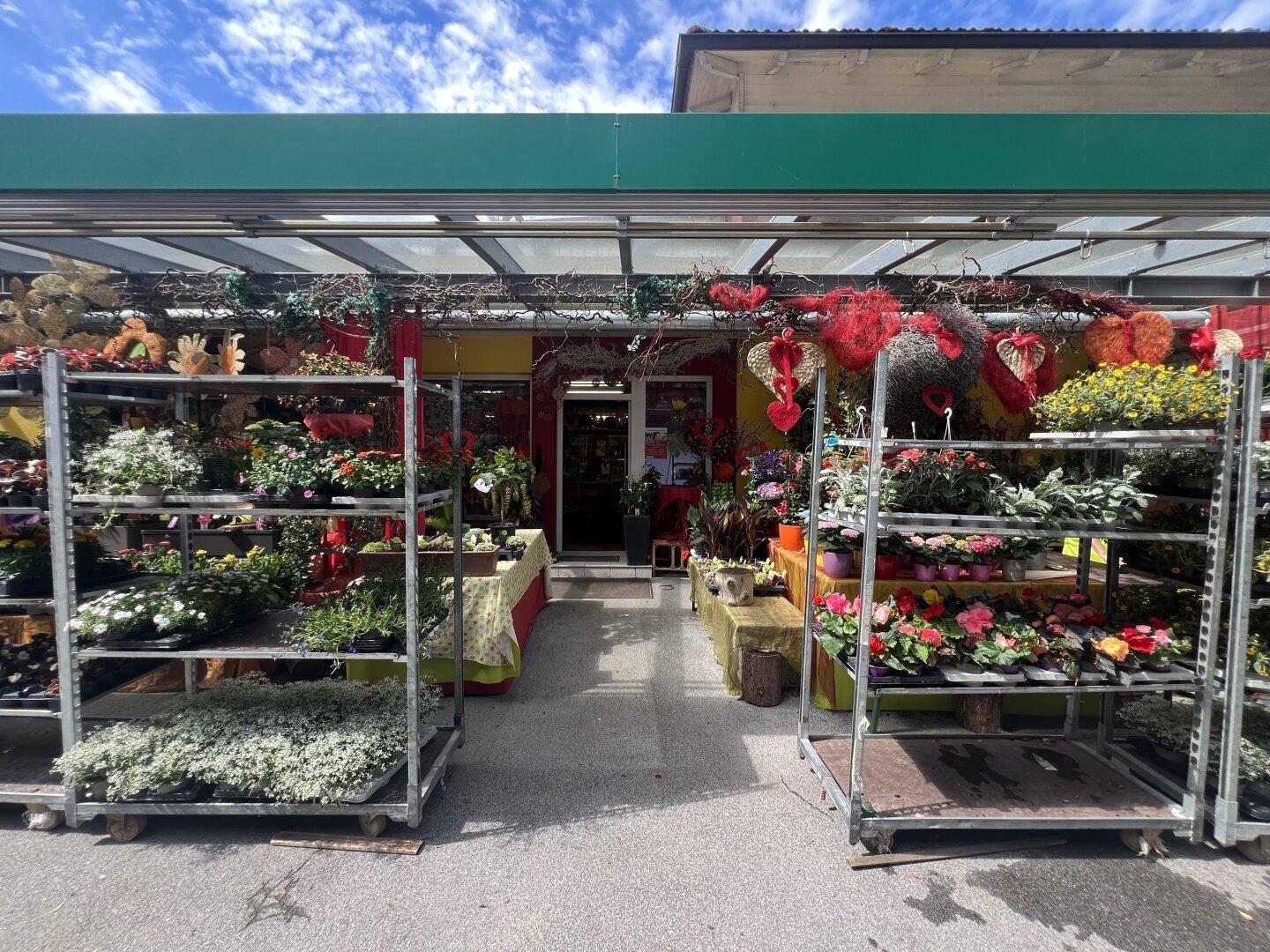 Eingangsbereich eines Blumengeschäfts mit zahlreichen Pflanzen auf Rollregalen und einem Glasdach.