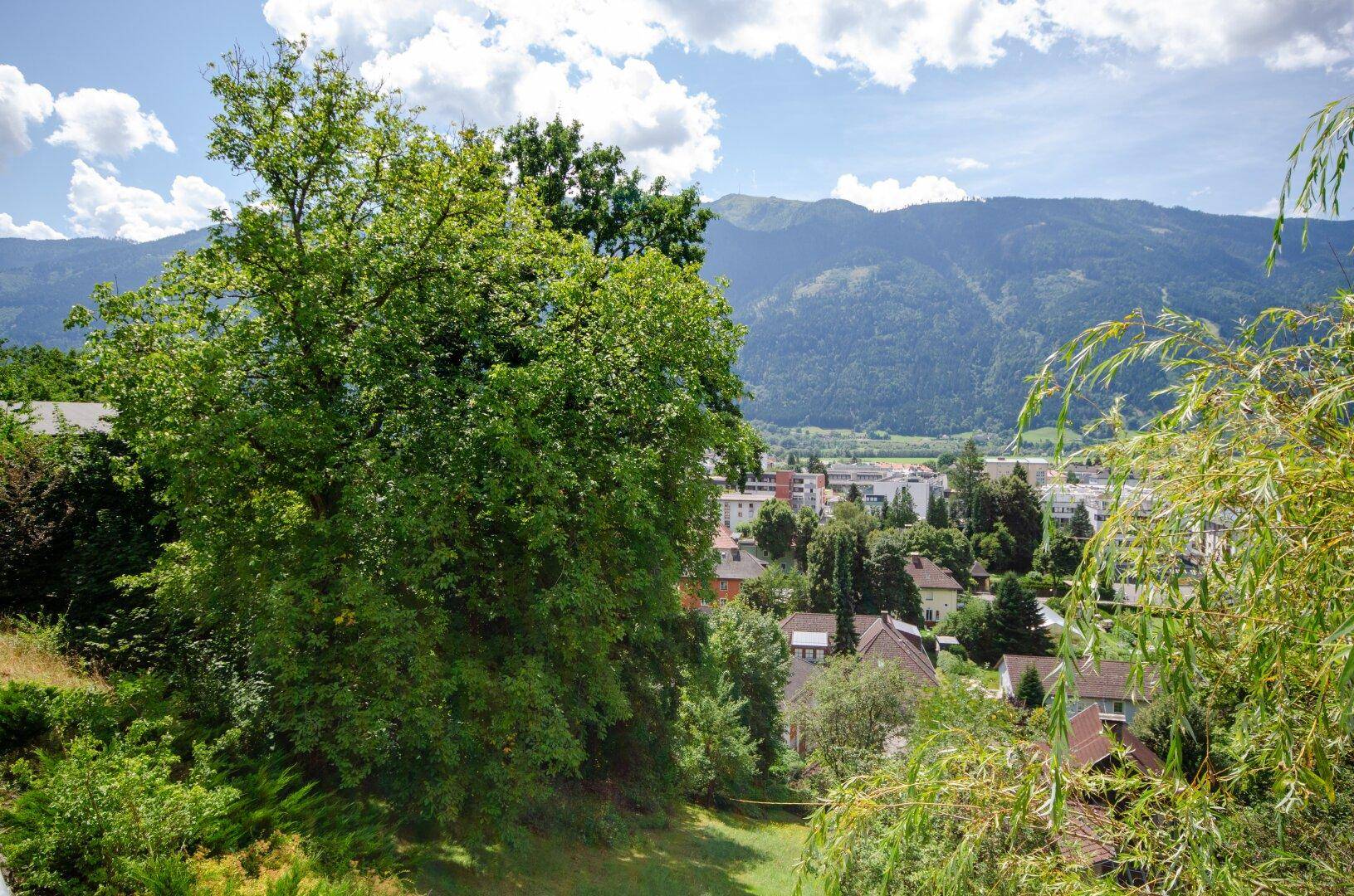 Panoramablick auf eine bewaldete Landschaft mit Siedlung und majestätischen Bergen unter blauem Himmel.