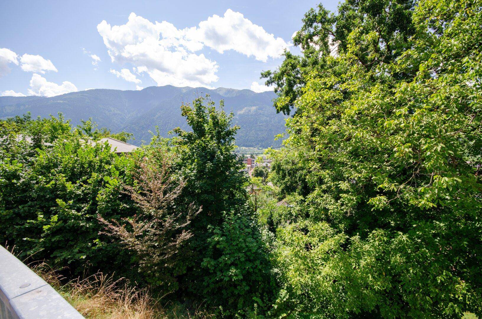 Aussicht auf eine grüne Hügellandschaft mit Bäumen und Bergen in der Ferne an einem sonnigen Tag.