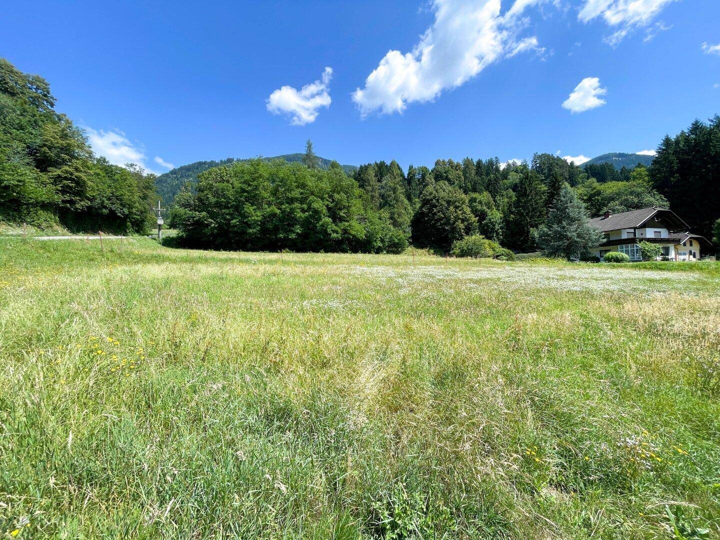 Weitläufige grüne Wiese mit einem Haus und Wald im Hintergrund unter blauem Himmel.