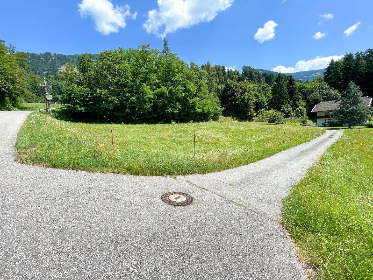 Zufahrtsstraße zu einem Haus, umgeben von einer weiten Wiese und dichtem Wald.