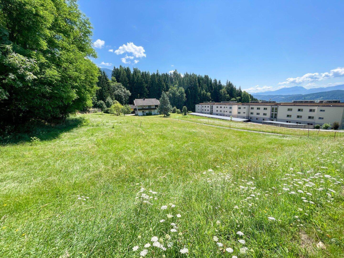 Grüne Wiese mit einem Haus und einem weiteren Gebäude im Hintergrund, umgeben von Natur.