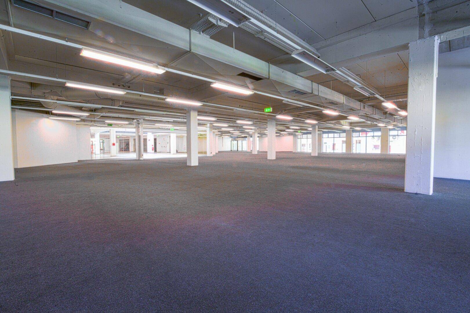Großer, offener Gewerberaum mit dunklem Teppichboden, vielen Säulen und großen Fenstern für Tageslicht.