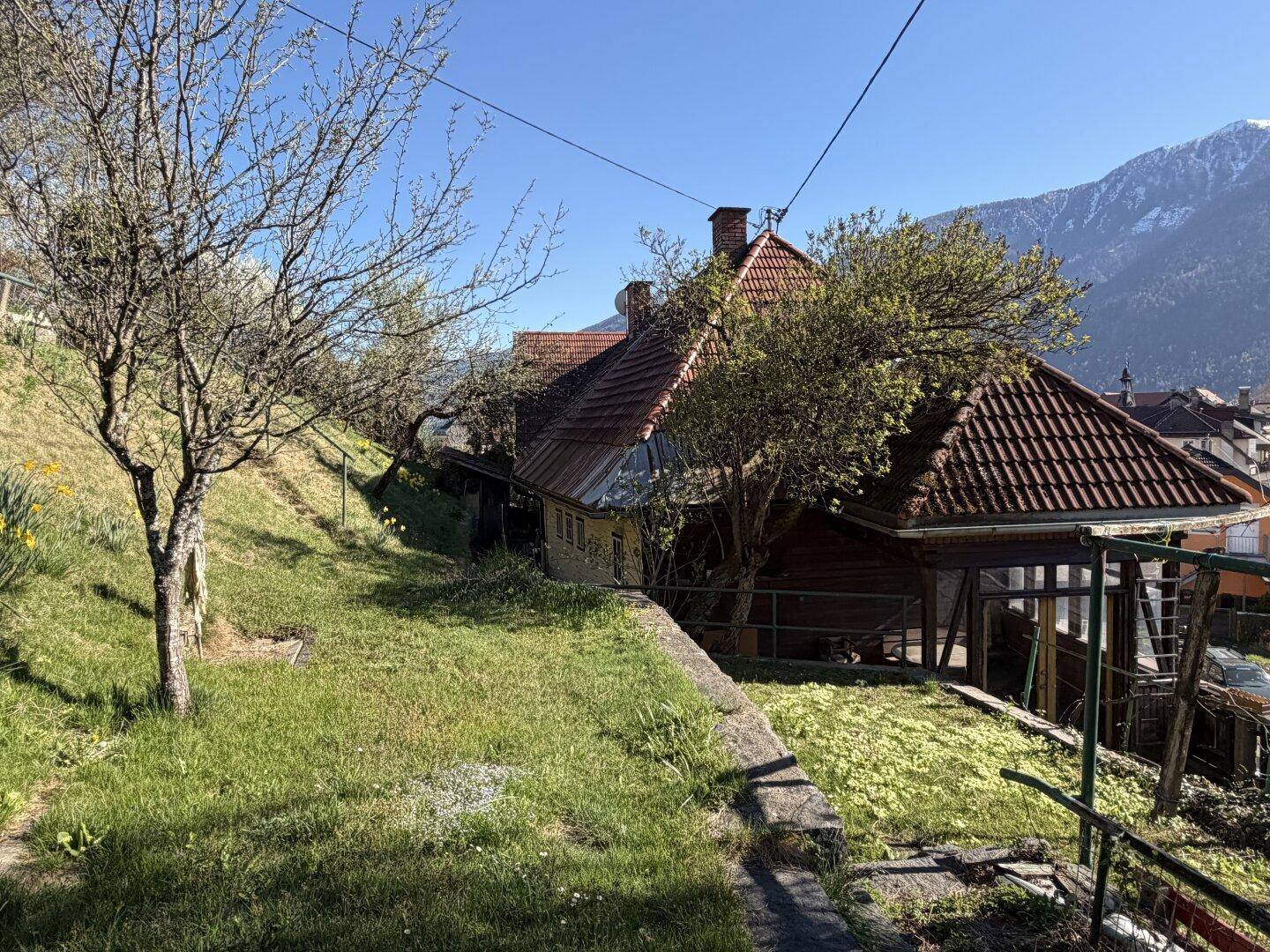Grüne Hanglage mit Bäumen neben dem Haus und einem weiten Blick auf die Berge.