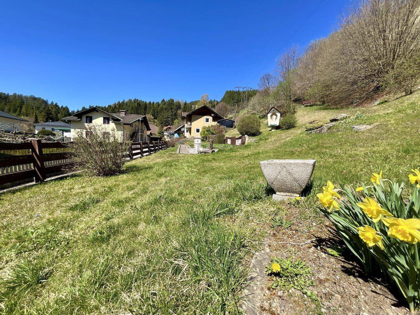 Grüne Wiese mit gelben Narzissen im Vordergrund und Häusern in der Ferne unter blauem Himmel.