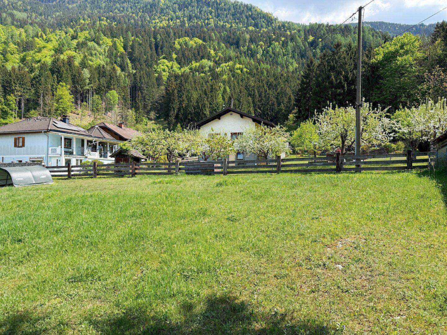 Grüne Wiese mit Obstbäumen und Blick auf bewaldete Hänge und Wohnhäuser.