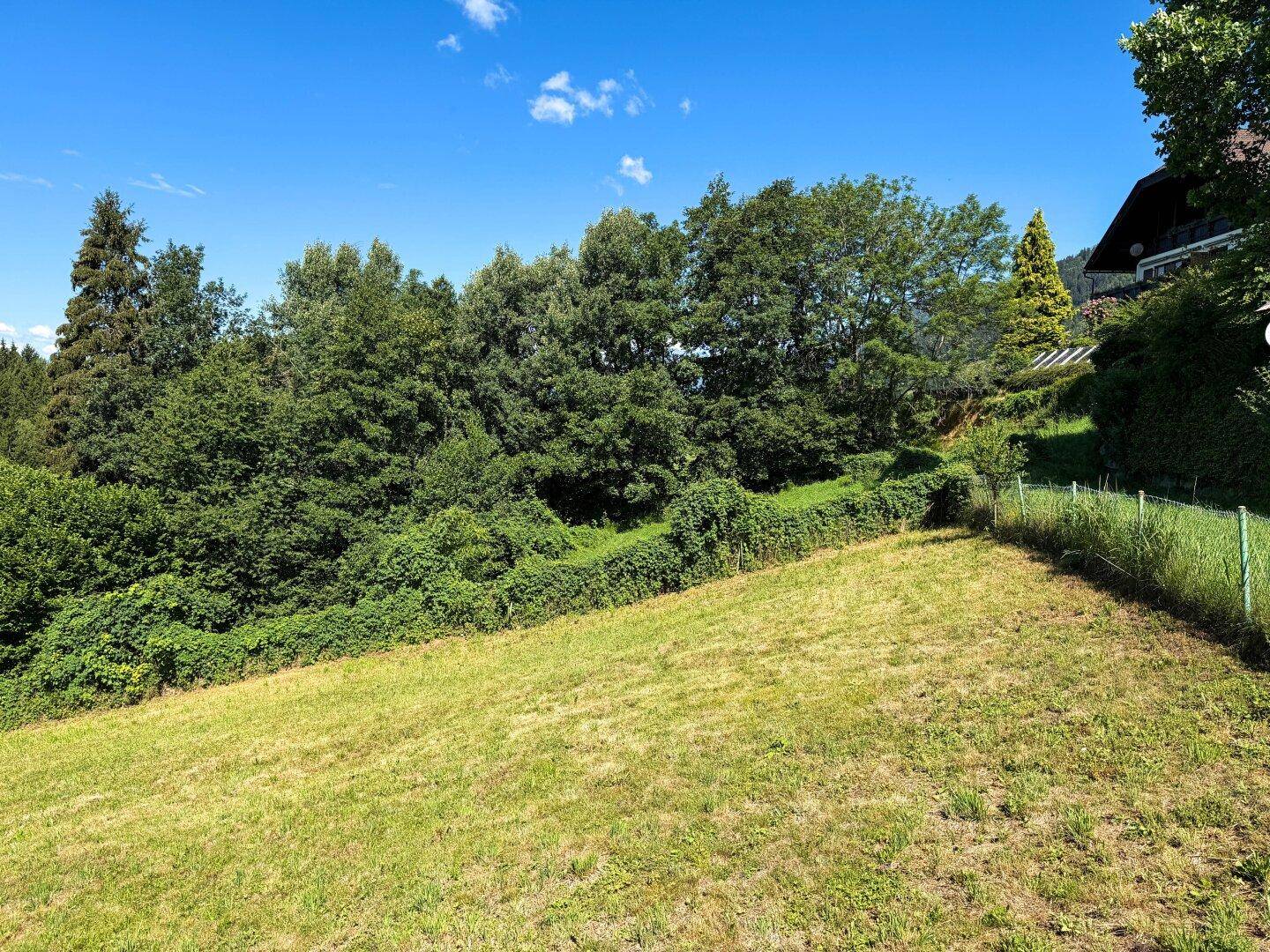 Grüne Hanglage mit gepflegter Wiese, umgeben von dichtem Baumbestand und einem Haus im Hintergrund.