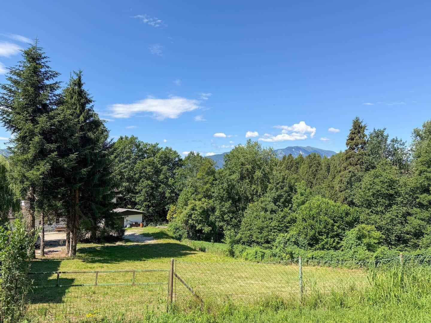Offenes Grundstück mit Wiese, hohen Nadelbäumen und einem weiten Blick auf die Berglandschaft unter blauem Himmel.