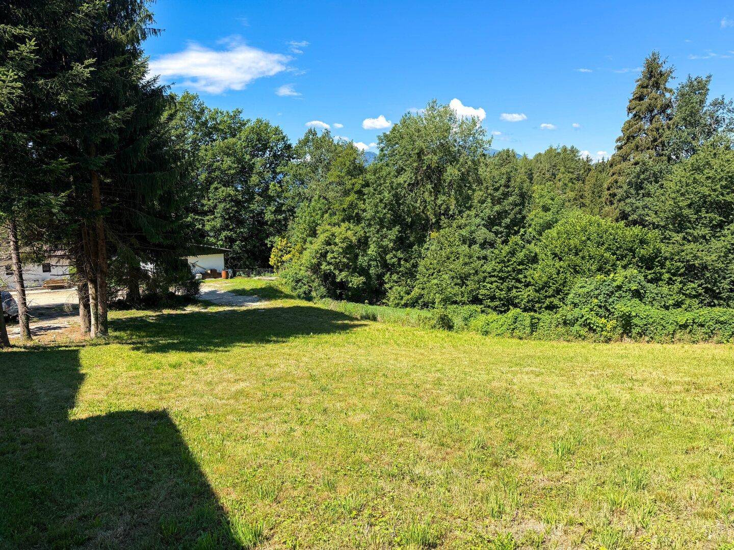 Sonniges Grundstück mit gepflegter Rasenfläche, umgeben von üppiger Vegetation und hohen Bäumen.