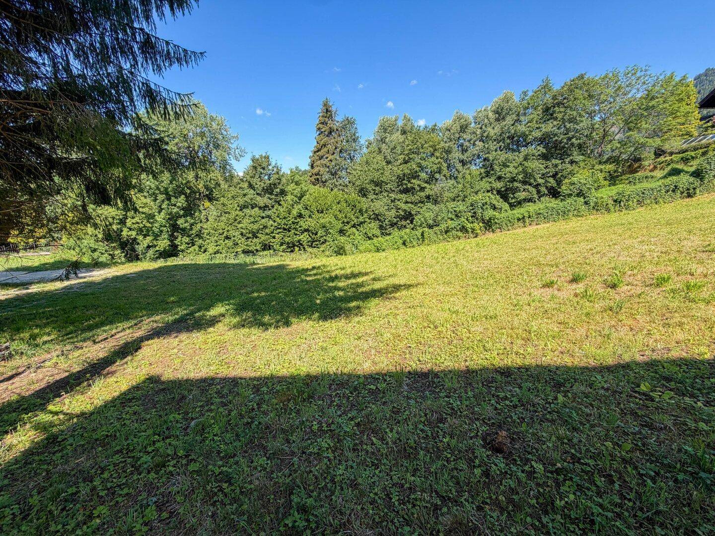 Weitläufige Rasenfläche auf einem sonnigen Grundstück, umgeben von Bäumen und Sträuchern mit Bergblick.