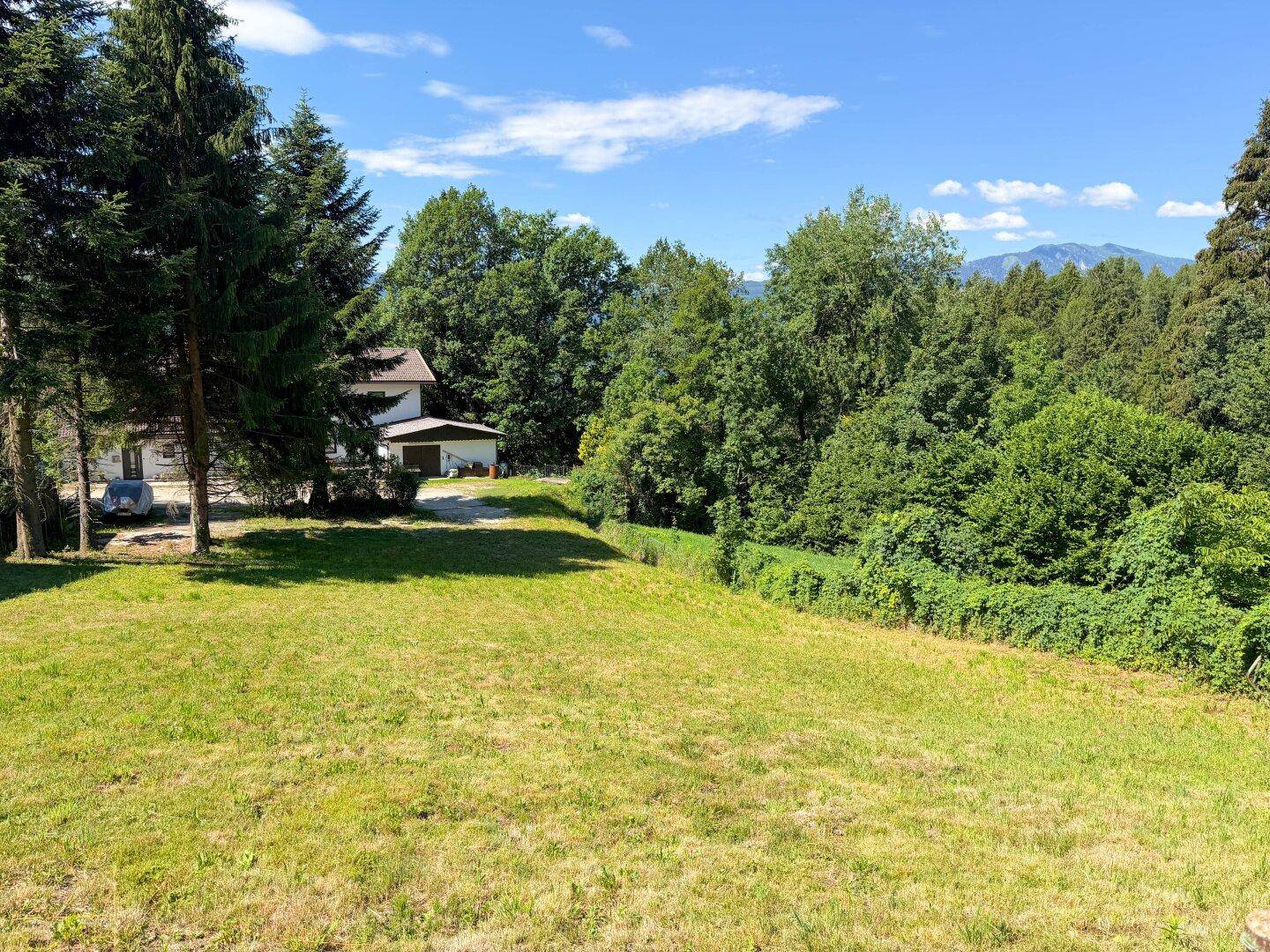 Sonniges Grundstück mit weitläufiger Rasenfläche, umgeben von Bäumen und einem Wohnhaus in der Ferne.