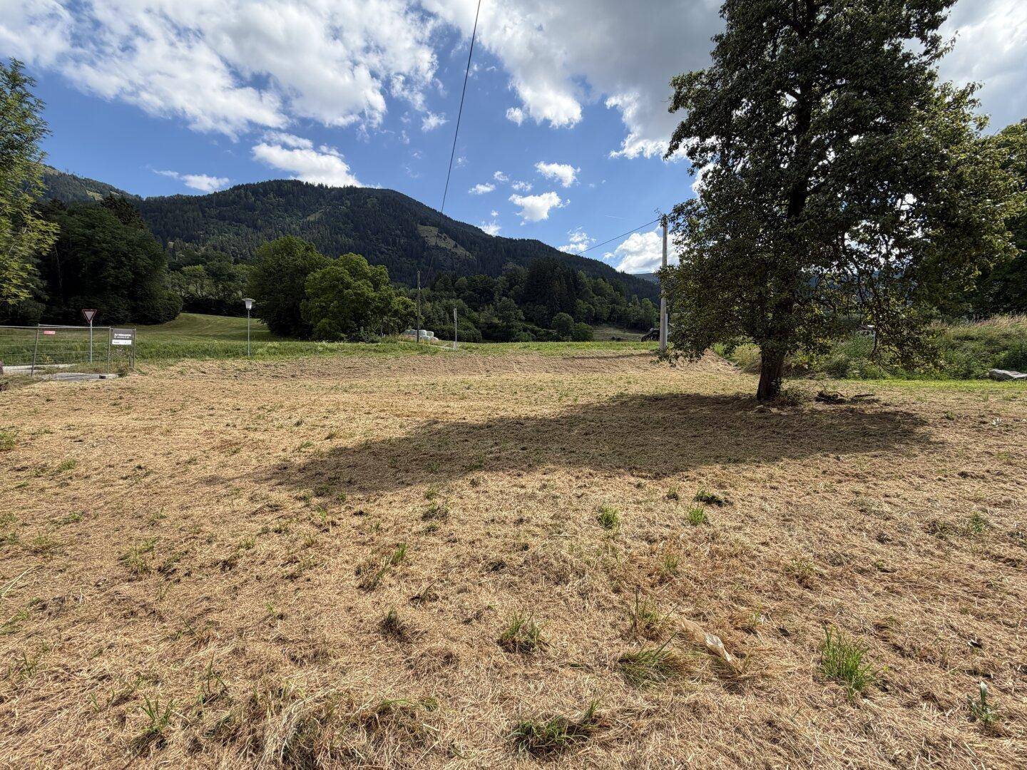 Offenes Feld mit trockenem Gras und einem großen Baum, umgeben von grünen Hügeln und Bergen.