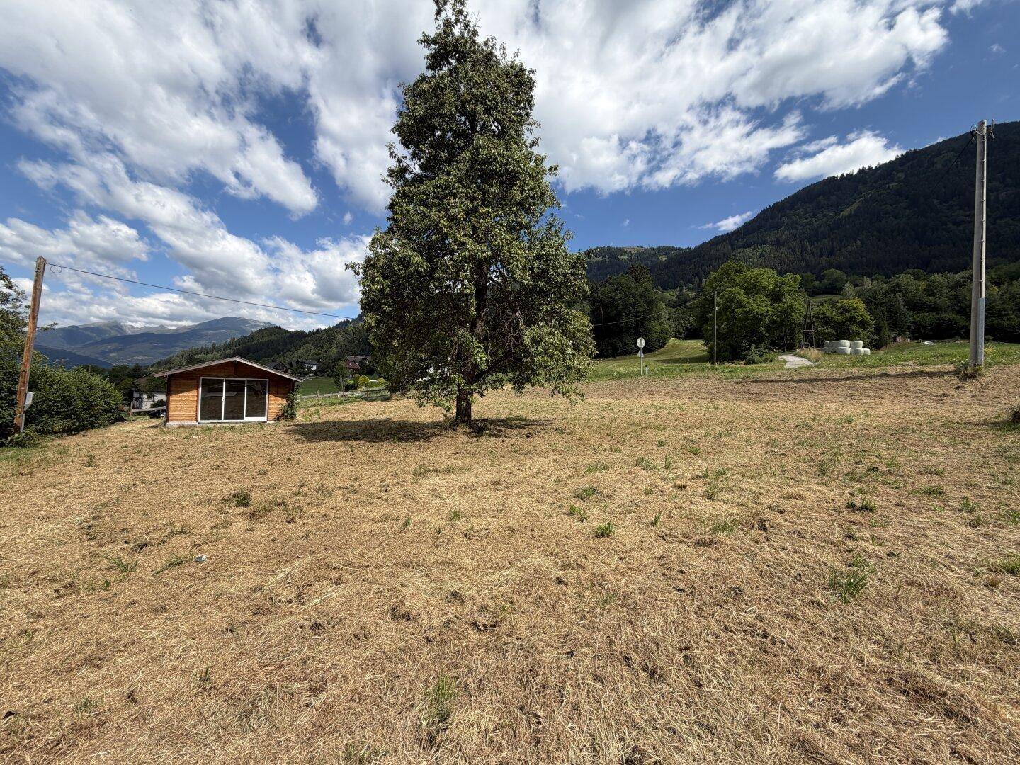 Großes, sonniges Grundstück mit einem markanten Baum und einer kleinen Holzhütte vor alpiner Landschaft.