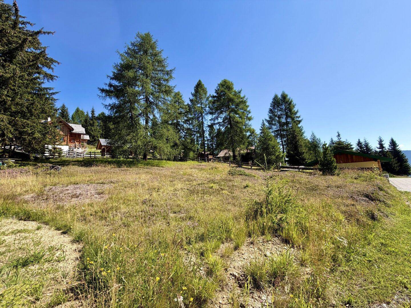Naturbelassene Wiesenfläche mit Bäumen im Hintergrund und Teilen von Holzhäusern am Horizont.