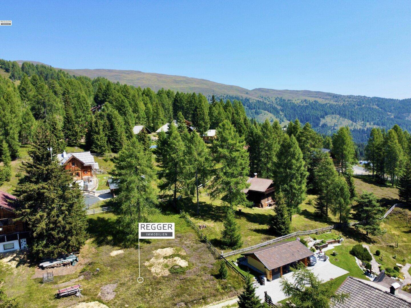 Luftaufnahme einer alpinen Landschaft mit mehreren Chalets und dichtem Baumbestand.