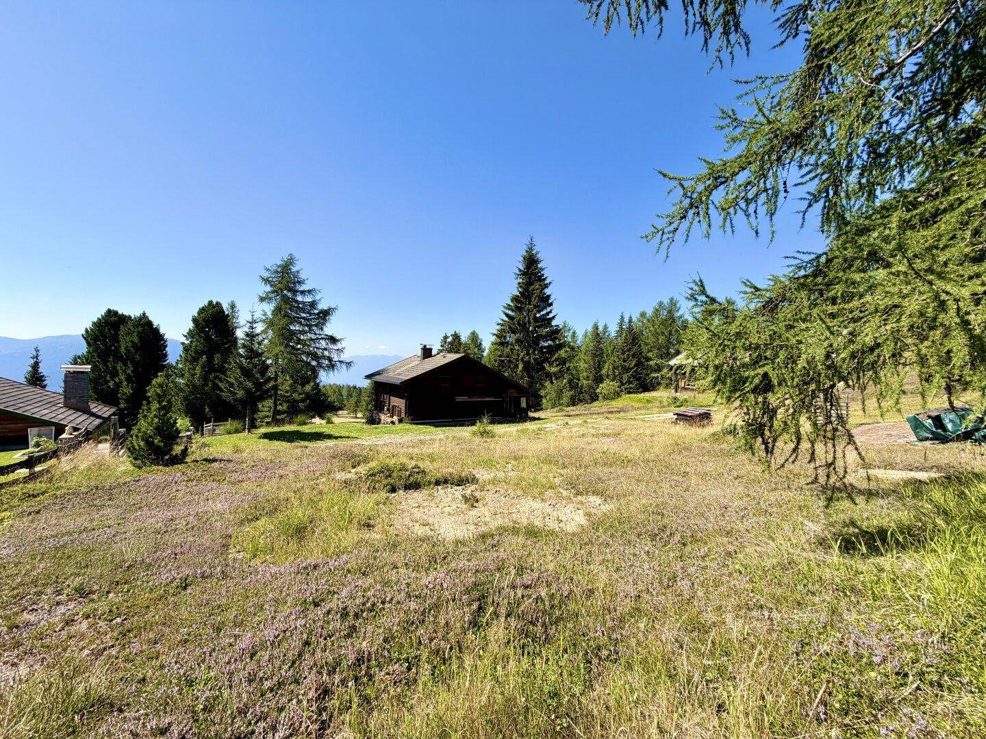 Idyllische Landschaft mit einem Holzhaus, umgeben von Wiesen und Bäumen, mit Bergsicht.
