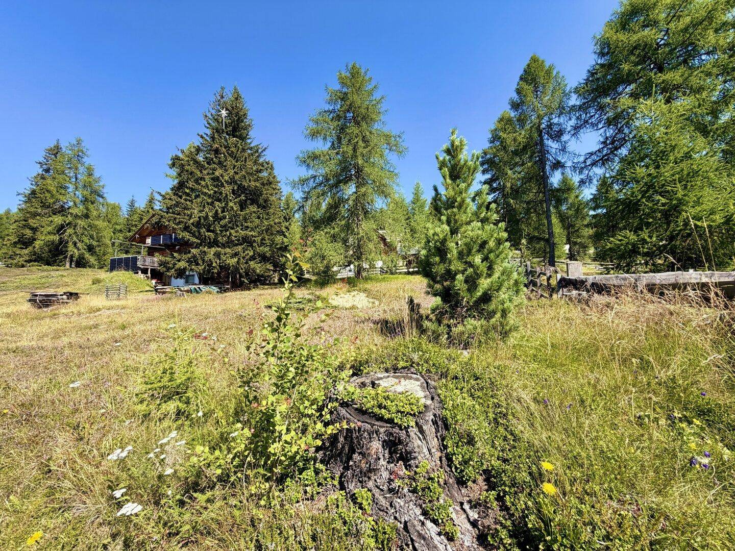Blick über eine Wiese mit Baumstumpf im Vordergrund und einem Haus im bewaldeten Hintergrund.