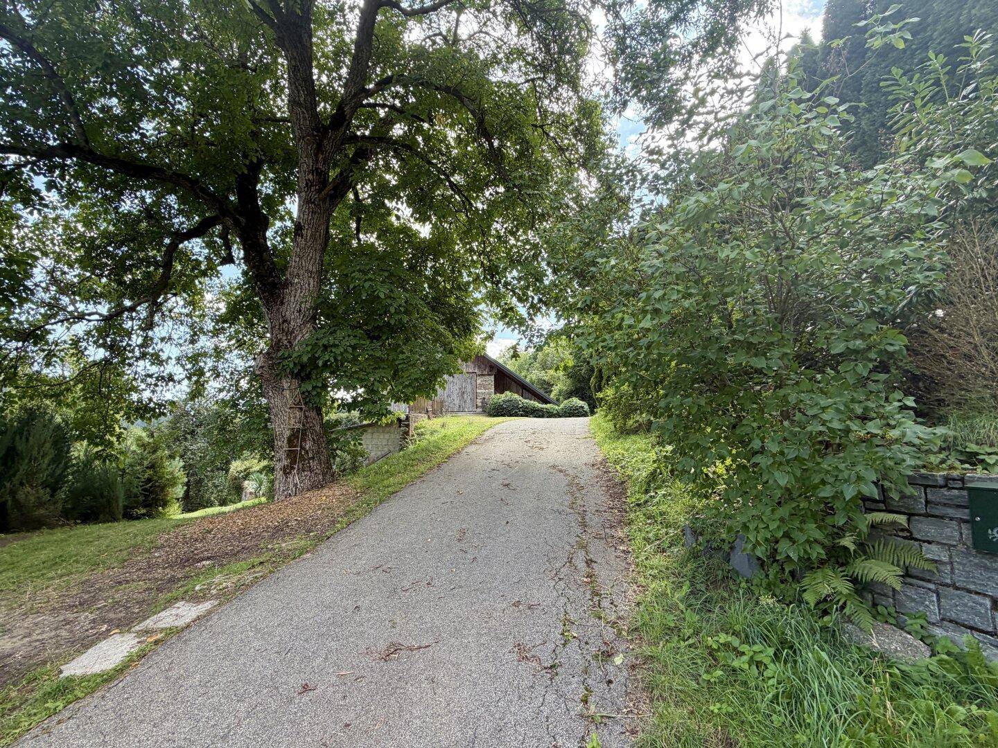 Lange Auffahrt zum Haus, umgeben von üppiger Vegetation und alten Bäumen.