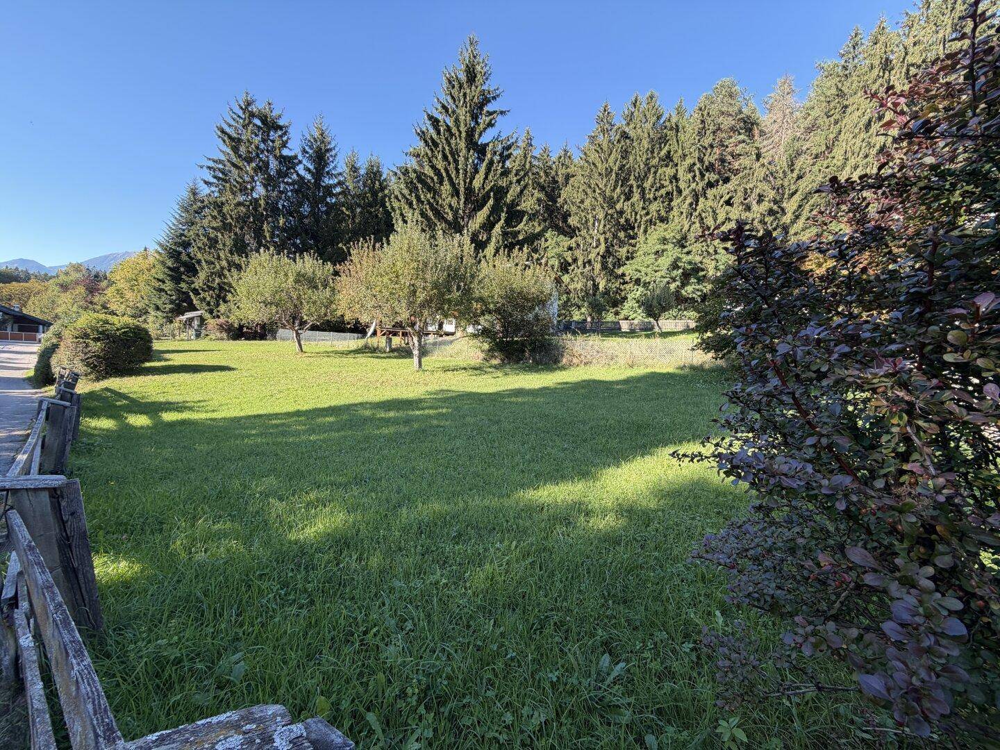 Sonnige Gartenlandschaft mit weitläufiger Rasenfläche, Bäumen und angrenzendem Wald.