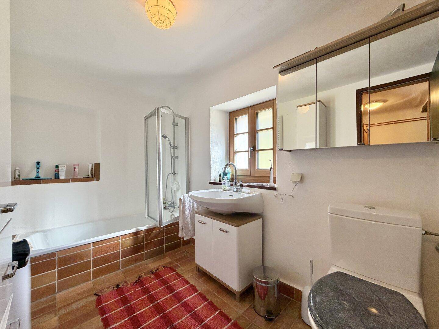 Funktionales Badezimmer mit Badewanne, Dusche, Einzelwaschbecken und Terrakottafliesen.