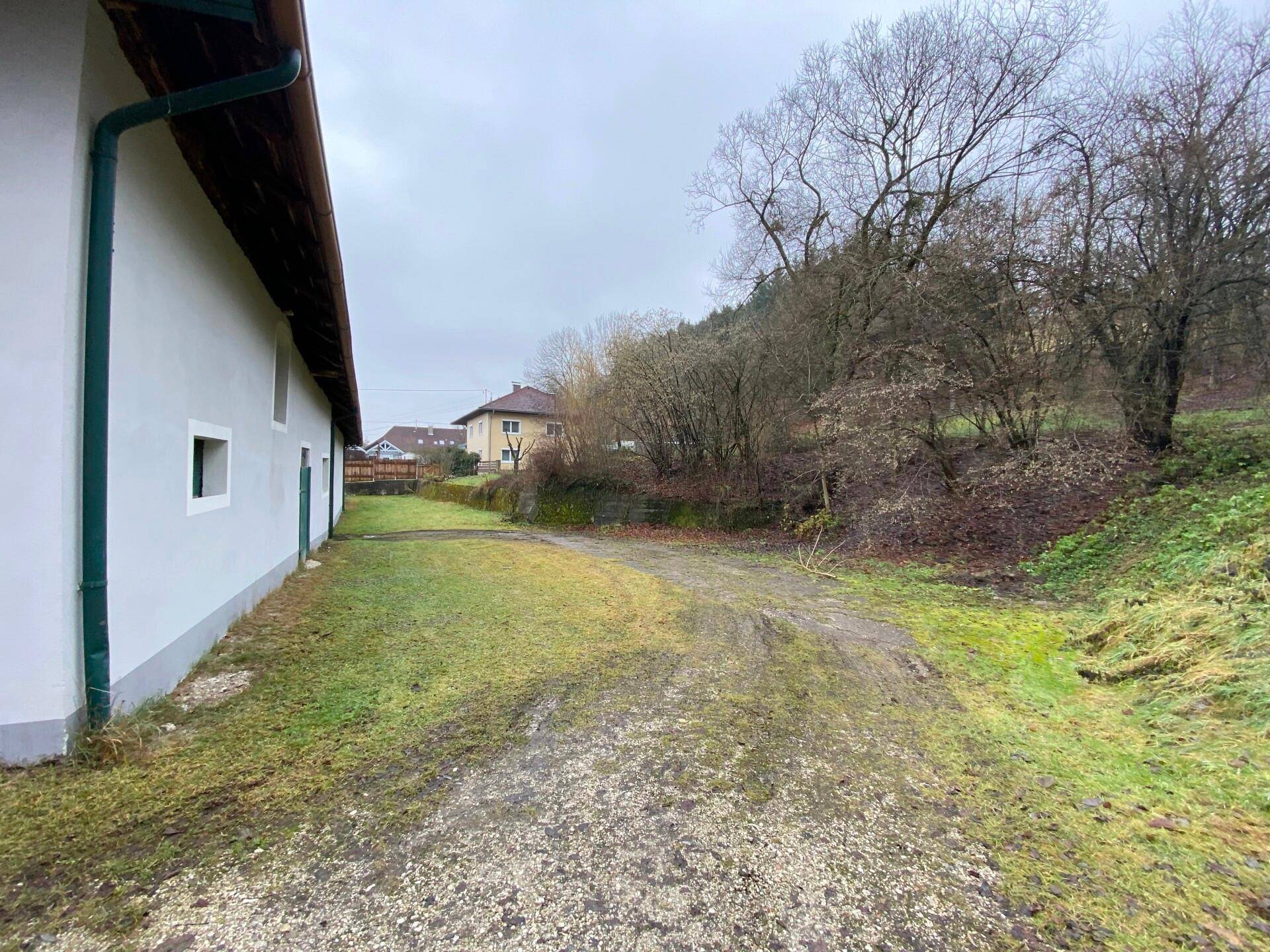 Seitenansicht des Gebäudes mit einem Schotterweg, einer Rasenfläche und einem bewaldeten Hügel im Hintergrund.
