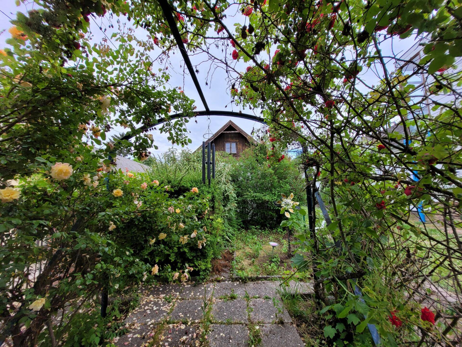 Romantischer Rosen und Lavendelgarten