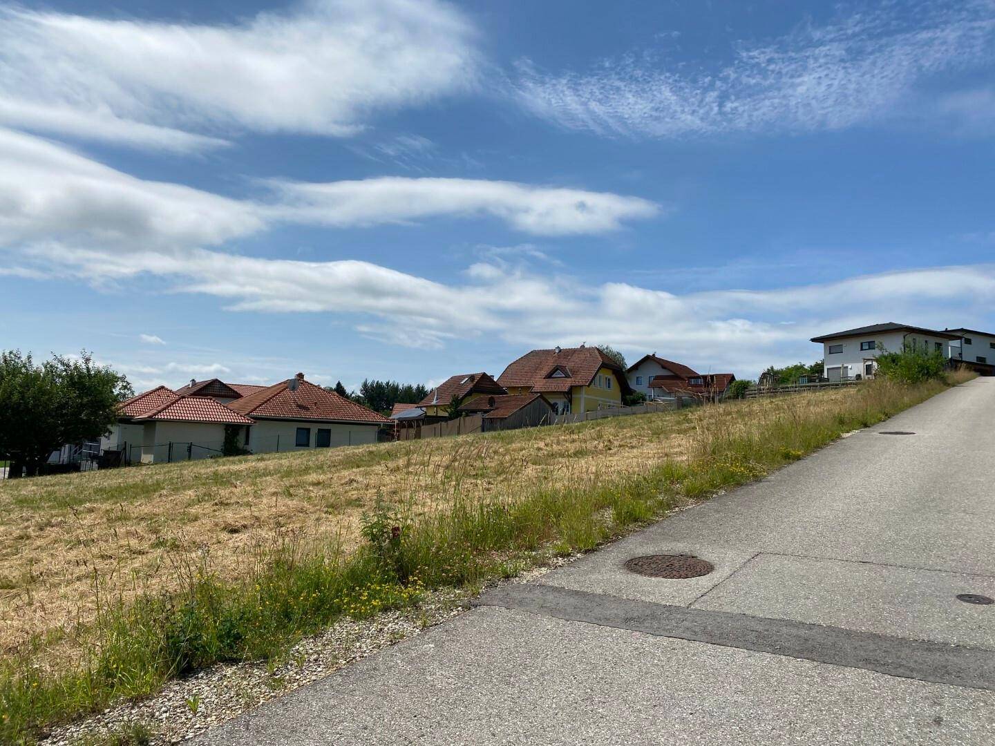 Wohngebiet am Hang mit Straße und Häusern im Hintergrund unter bewölktem Himmel.